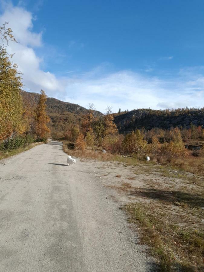 Leilighet I Amotsdal Exterior photo
